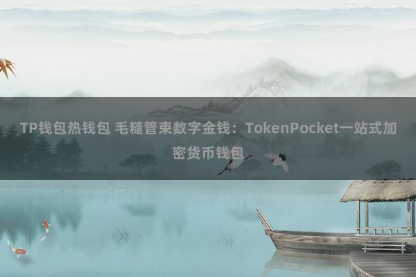 TP钱包热钱包 毛糙管束数字金钱：TokenPocket一站式加密货币钱包